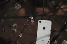 apple id herausfinden 0
