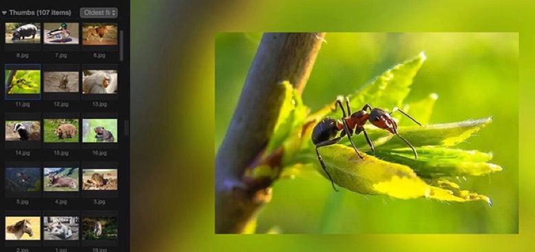 HEIC Viewer #5 - Phiewer Image Viewer