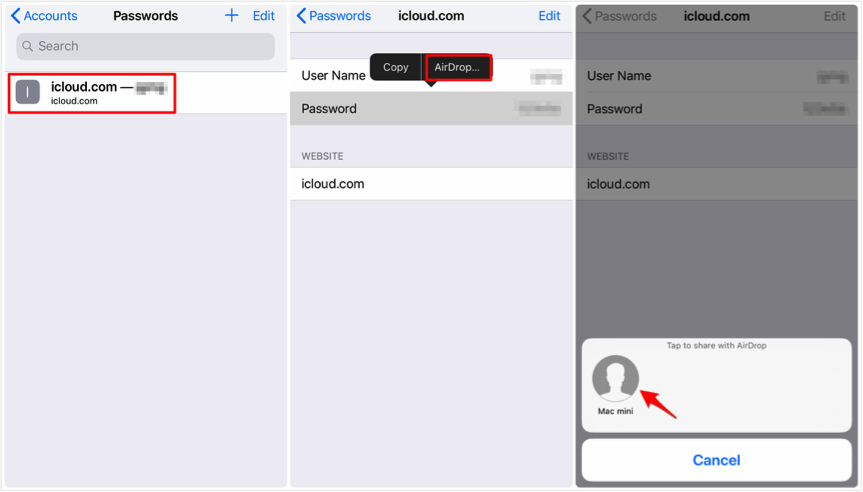 How to Share A Password in iOS 12 on iPhone – Step 2
