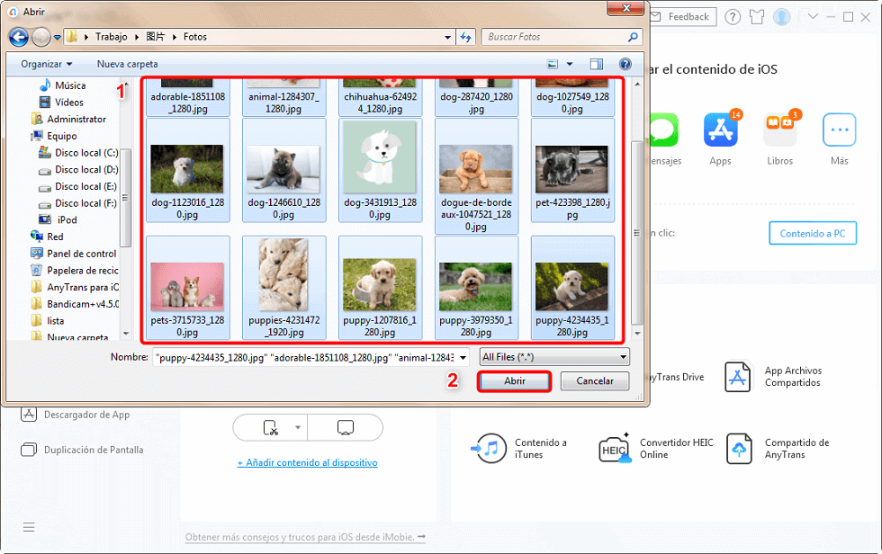 Elige las fotos en PC
