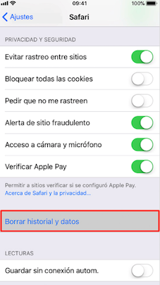 Borrar historial, caché y cookies de Safari – Acelerar iPhone