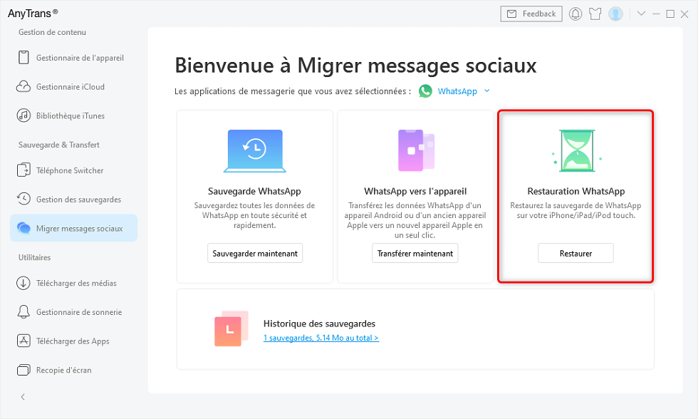 Restauration WhatsApp