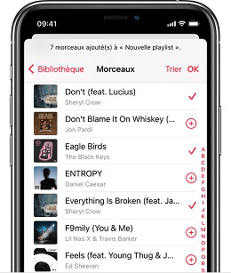Apple Music Playlist